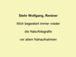 Stehr Wolfgang